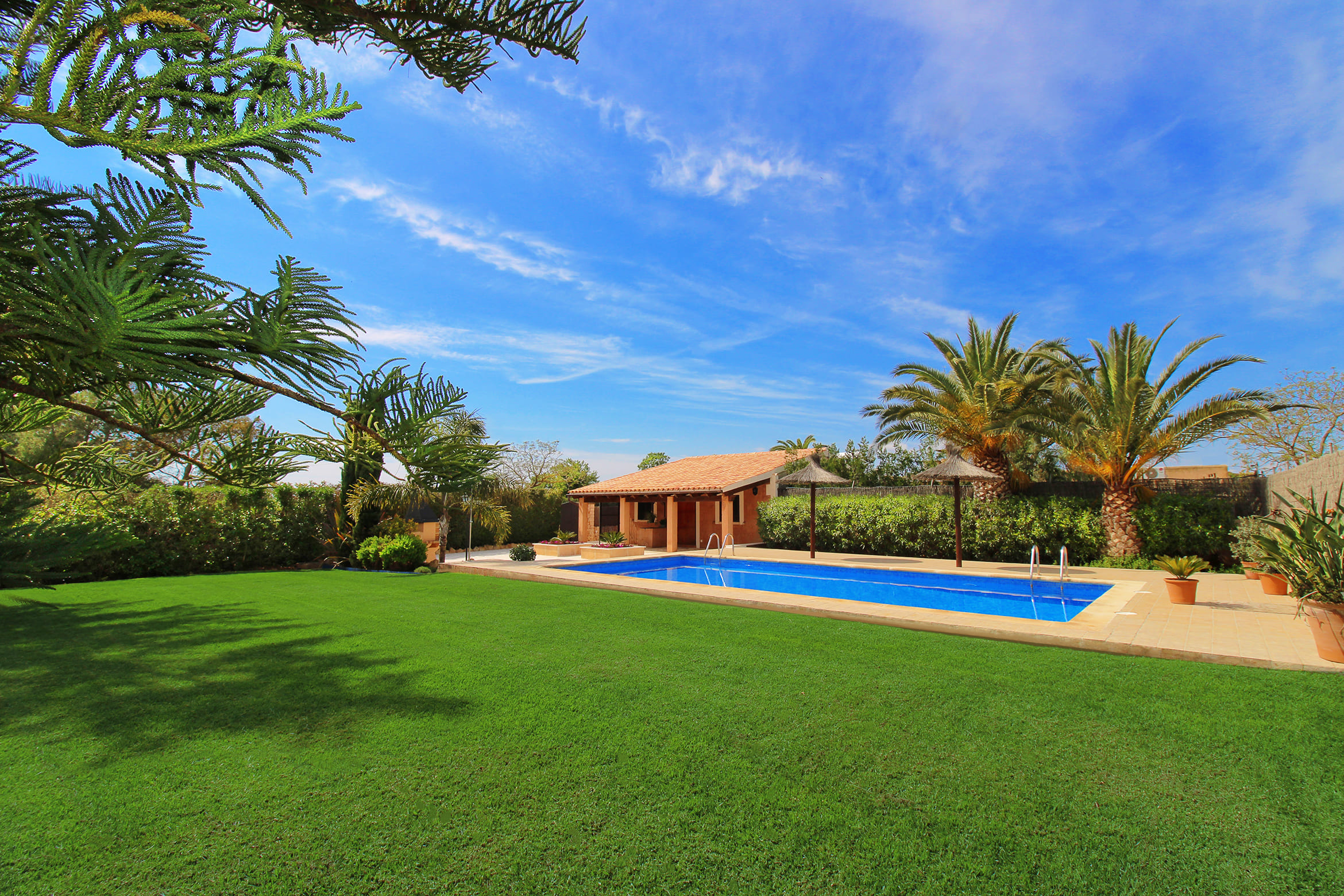 Garden panorama and pool view