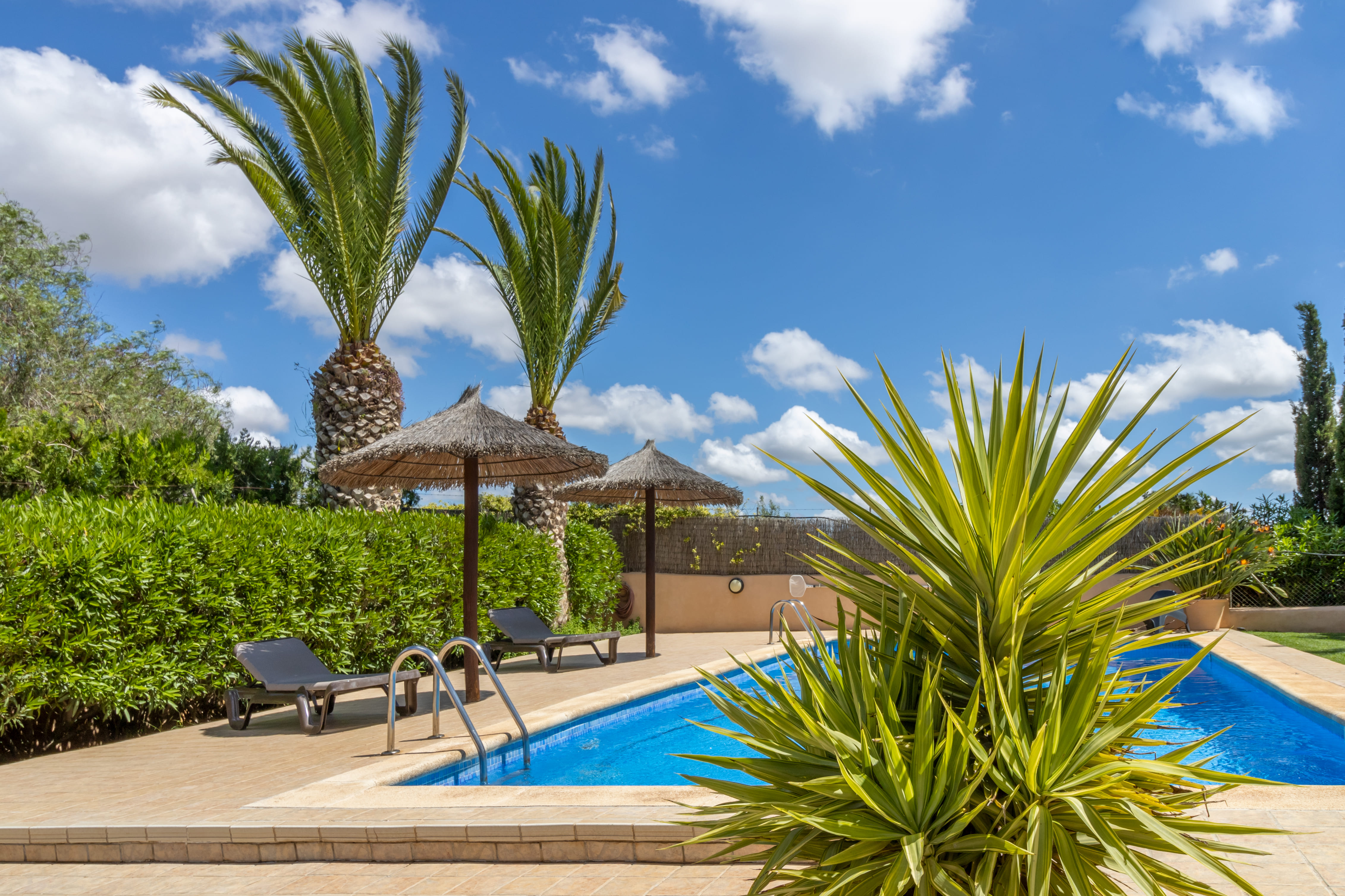 Pool-side view from the lawn